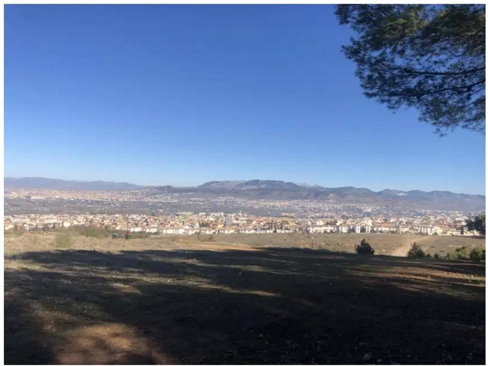 Zubicalm Lägenhet La Zubia  Exteriör bild