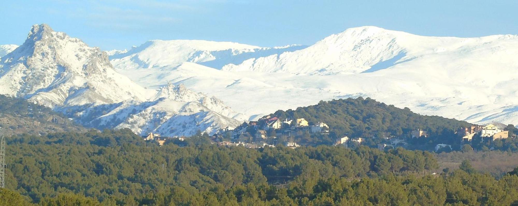 Zubicalm Lägenhet La Zubia  Exteriör bild